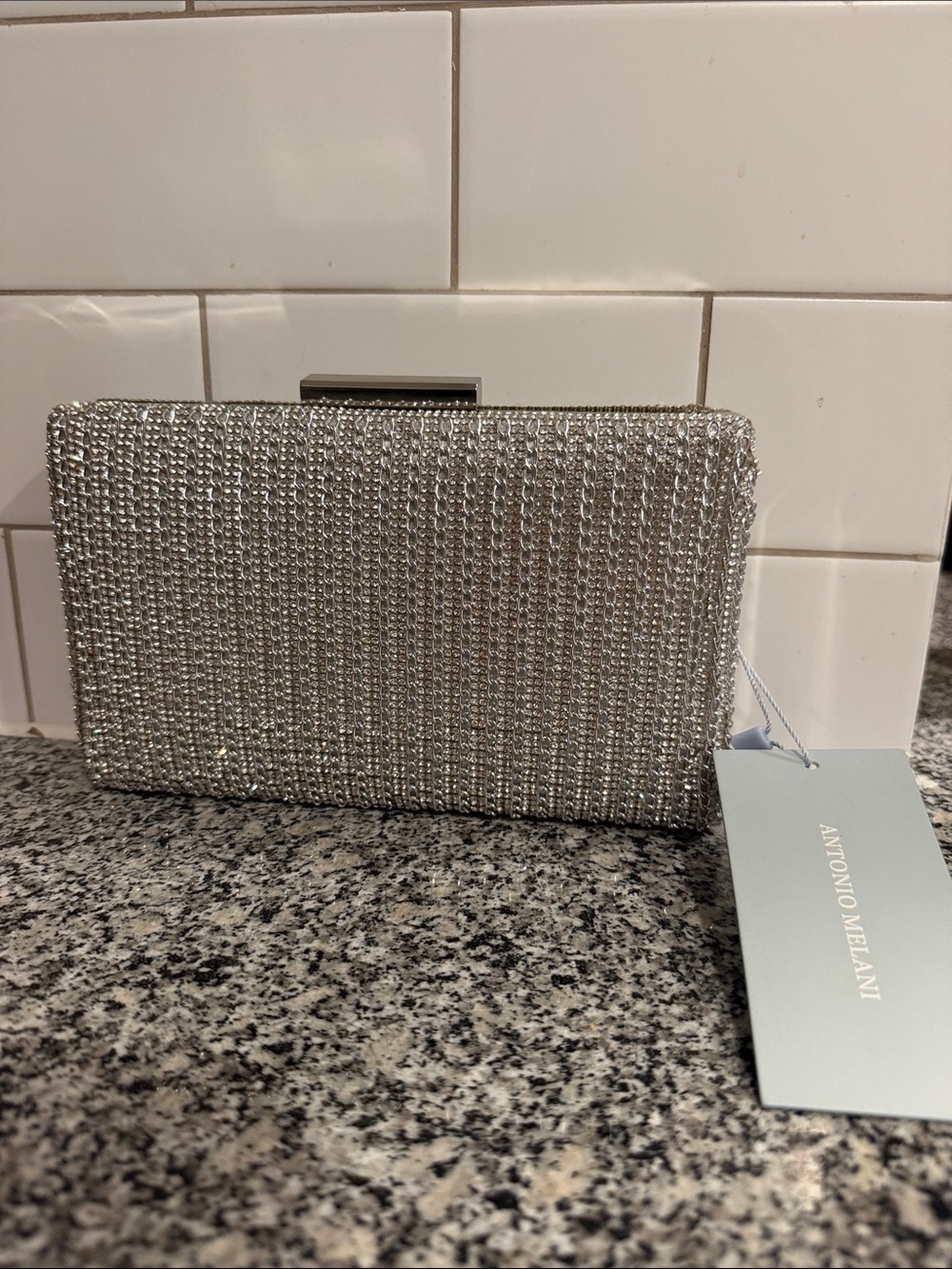 ANTONIO MELANI Silver Clutch | NEW